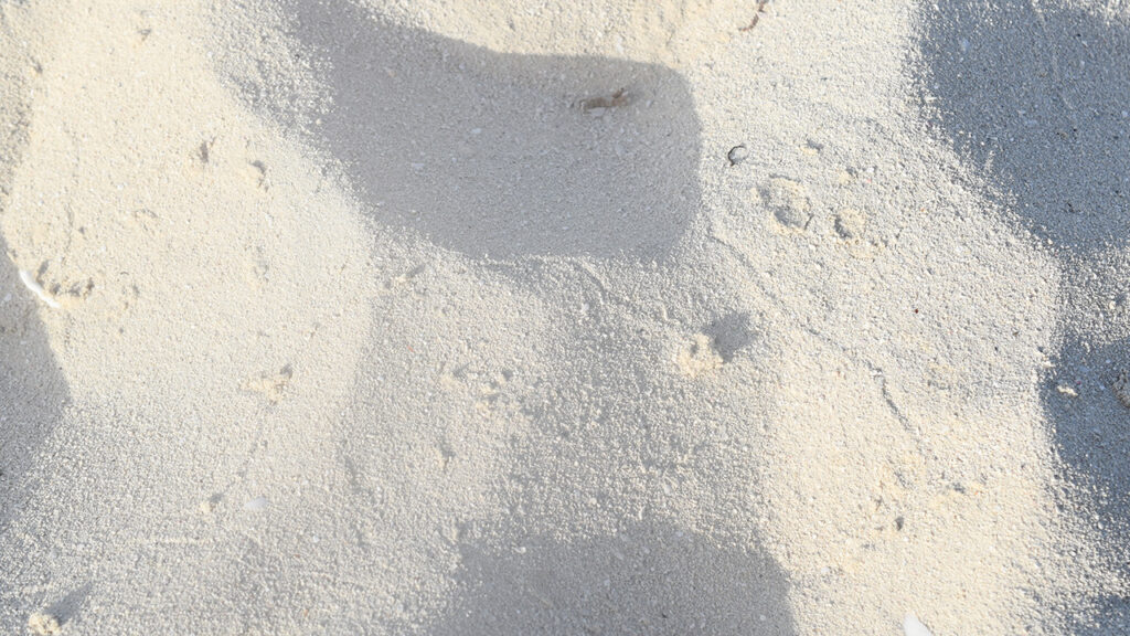 Turks and Caicos Powdery Soft Sand